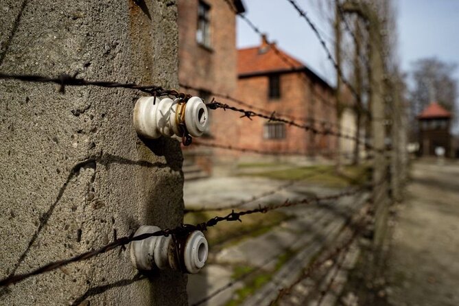 Auschwitz and Birkenau Tour - The guide can make or break the day
