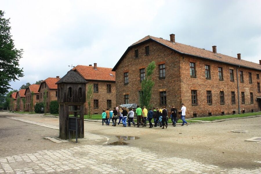 Auschwitz-Birkenau and Krakow Private Car Trip from Katowice - Who should add the 12-hour Krakow option?