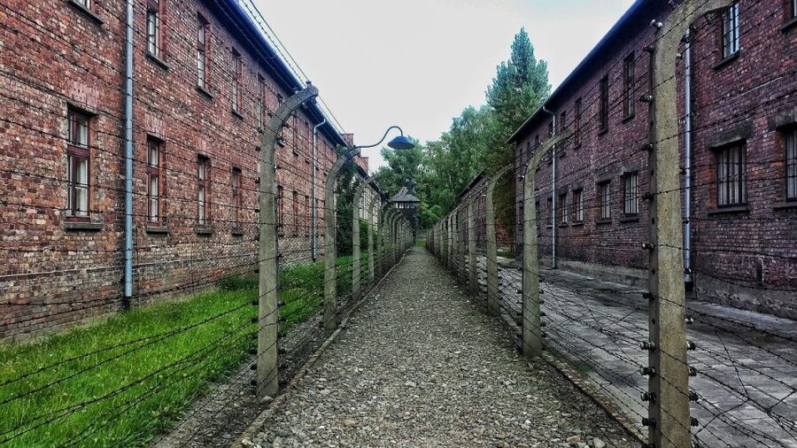 Auschwitz-Birkenau and Krakow Private Car Trip from Katowice - Is $281 per person fair value?