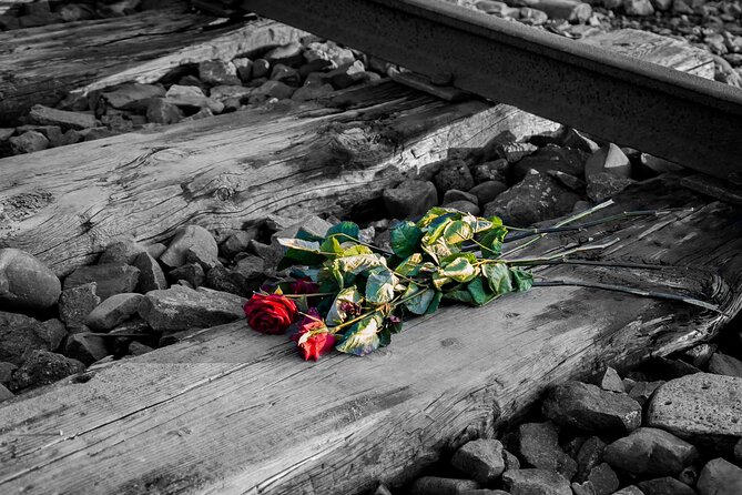 Auschwitz Birkenau and Salt Mine Full Day Guided Tour from Krakow hotel pick up - Transport, drivers, and the small-group question