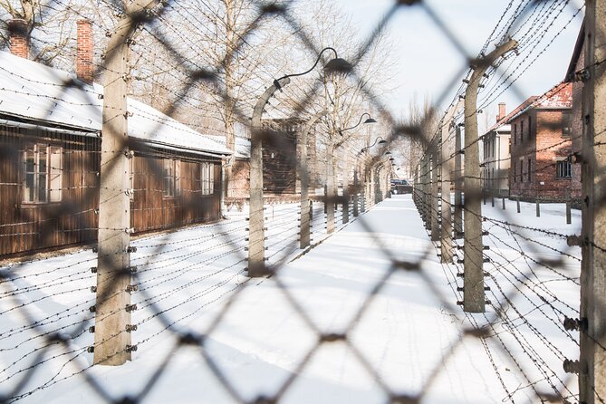 Auschwitz-Birkenau and Wieliczka Salt Mine Full Day Tour - What this Krakow day trip really offers