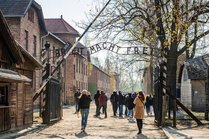 Auschwitz Birkenau and Wieliczka Salt Mine Guided Full Day Tour - One long day from Krakow