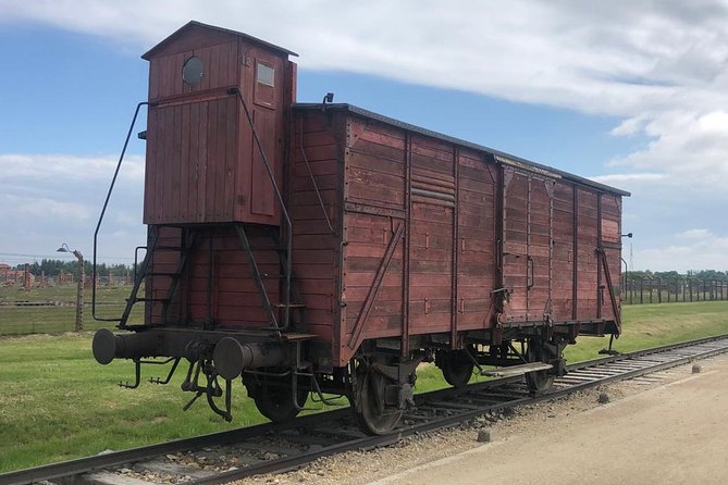 Auschwitz-Birkenau and Wieliczka Salt Mine Museum Guided Tour from Krakow - Guide Quality Can Shape the Whole Experience