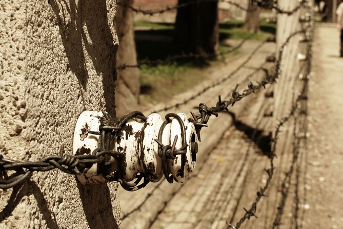Auschwitz Birkenau: Complete Private Tour - What the private arrangement really means