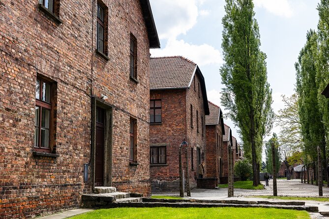 Auschwitz-Birkenau: Day Trip & Transfer from Kraków - Timing problems are the main risk