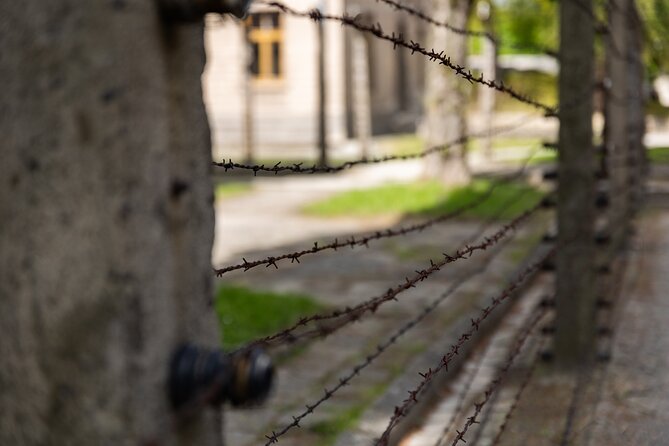 Auschwitz-Birkenau: Day Trip & Transfer from Kraków - What the best departures do well