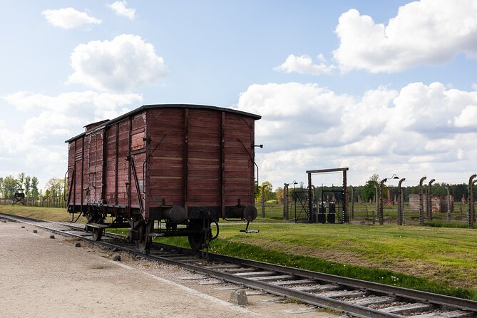 Auschwitz-Birkenau: Day Trip & Transfer from Kraków - Who should choose this Auschwitz day trip?