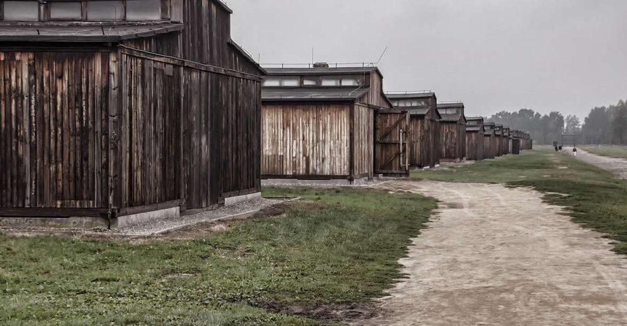 Auschwitz-Birkenau: Entrance Ticket and Live Tour Guide - Key points to know before booking