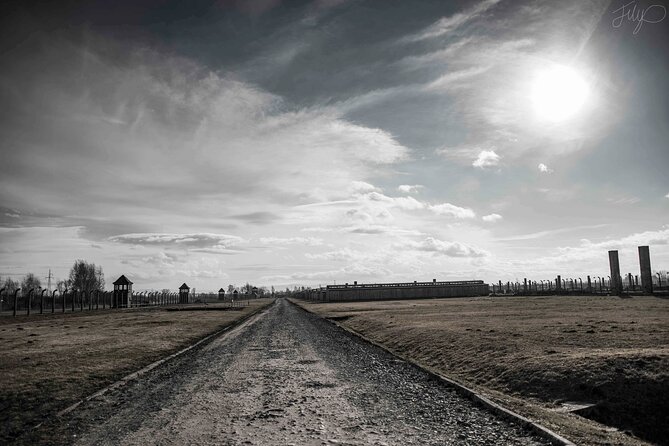 Auschwitz-Birkenau: Entry Ticket with Guided Tour - Birkenau adds the scale