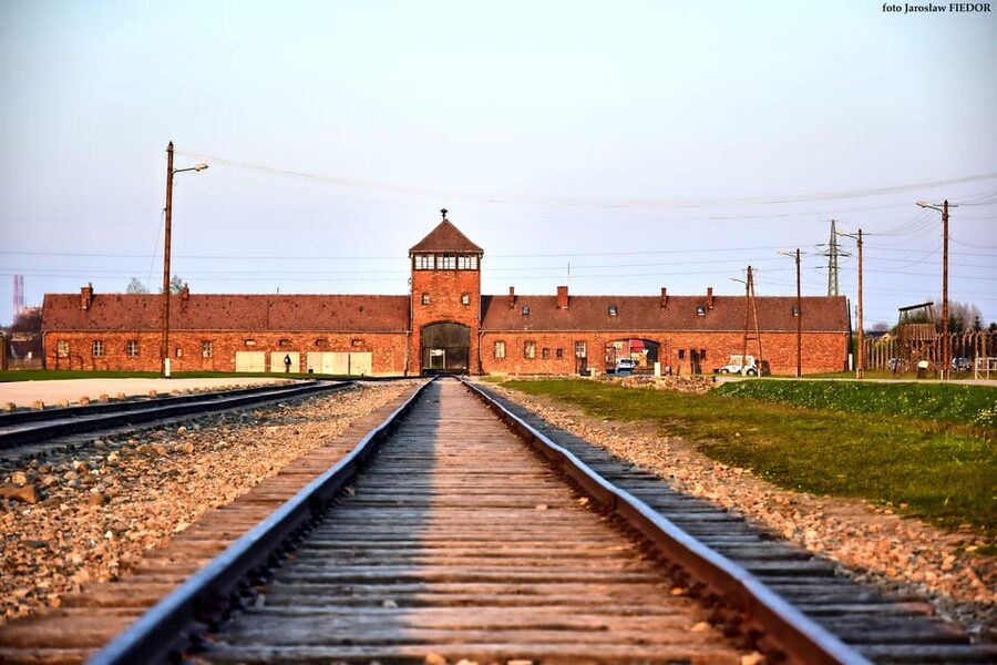 Auschwitz-Birkenau: Guided Tour and Skip-The-Line Ticket - Birkenau and the Scale of the Camp