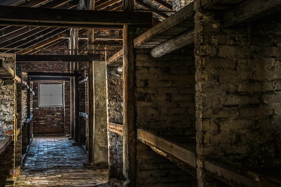Auschwitz-Birkenau: Guided Tour and Skip-The-Line Ticket - Is the $10 Price Good Value?