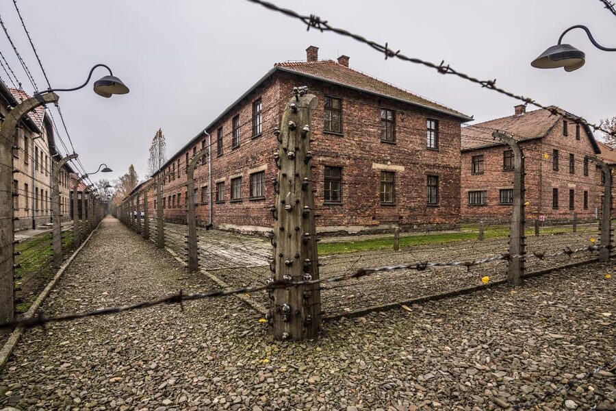 Auschwitz-Birkenau: Guided Tour and Skip-The-Line Ticket - Who Should Book This Visit?