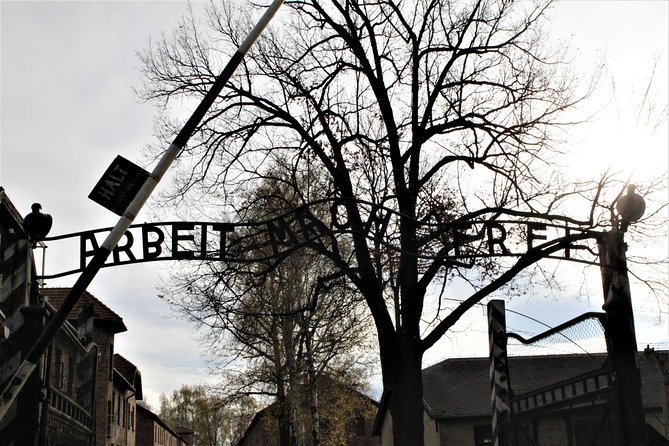 Auschwitz-Birkenau Guided Tour by Private Transport from Krakow - Birkenau: the scale becomes the message