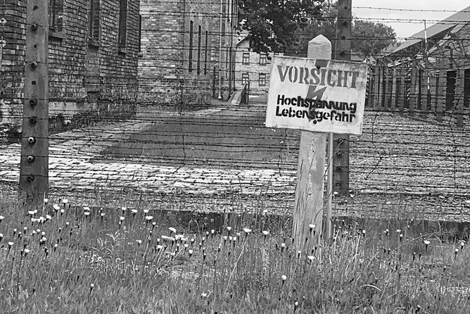 Auschwitz-Birkenau guided tour from Krakow - private car - The six-and-a-half-hour schedule