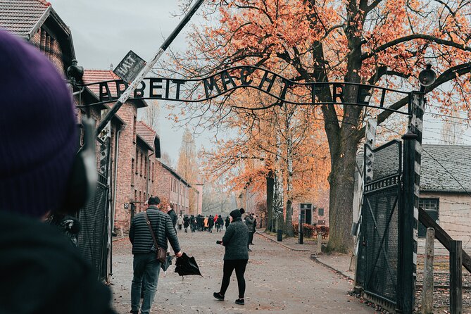 Auschwitz Birkenau guided tour from Krakow private chauffeur - Why this Krakow to Auschwitz tour works