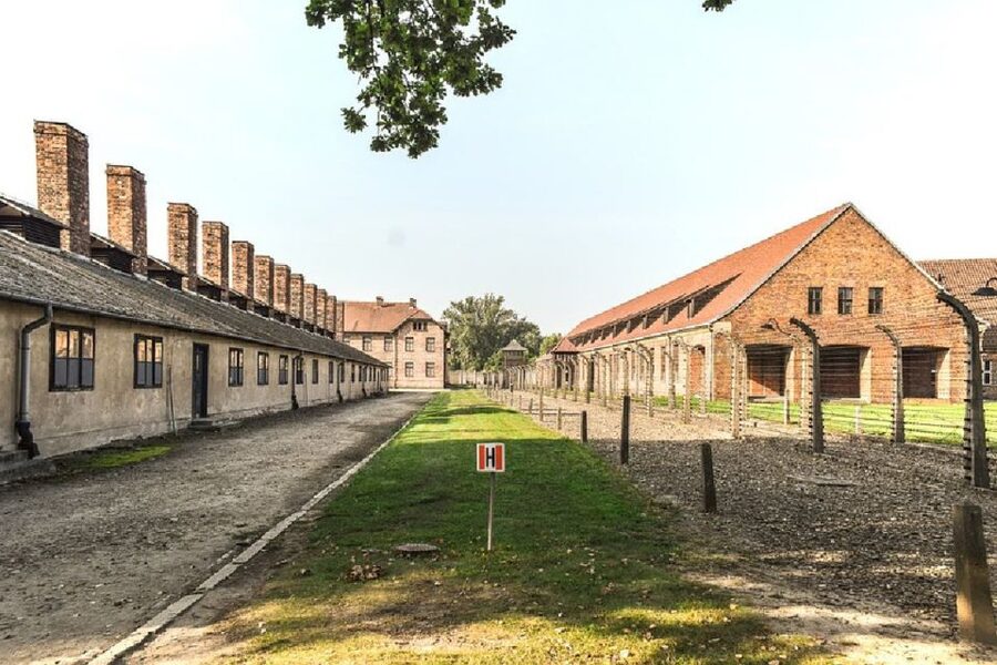 Auschwitz-Birkenau Guided Tour & Transfer from Krakow - Key points to know before booking