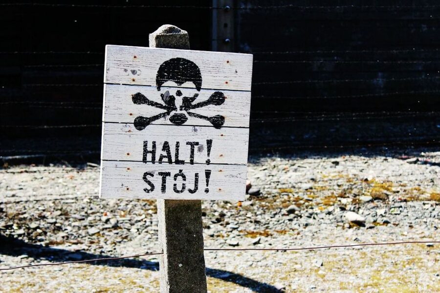 Auschwitz-Birkenau Guided Tour & Transfer from Krakow - The guide can shape the whole experience