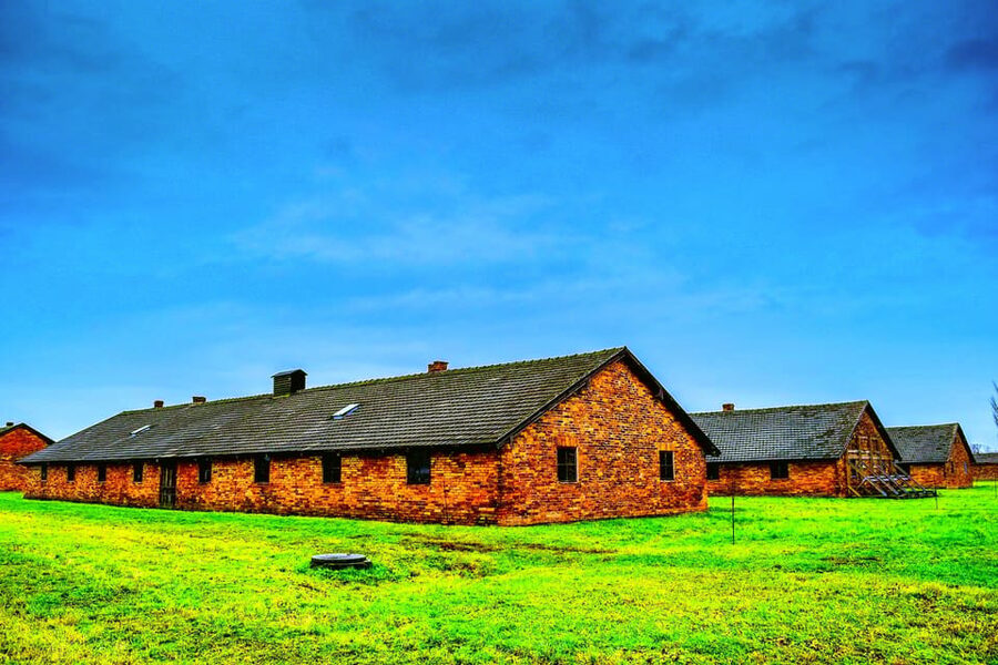Auschwitz-Birkenau: Guided Tour with Fast Track Ticket - Transport from Krakow or arriving independently