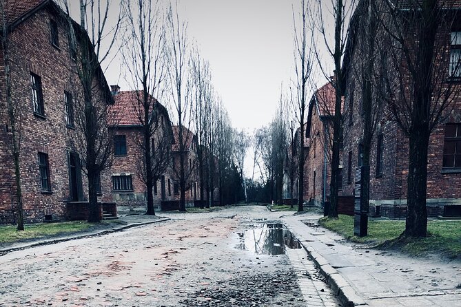 Auschwitz-Birkenau Guided Tour with Private Transport from Krakow - Key points to know before booking