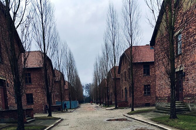 Auschwitz-Birkenau Guided Tour with Private Transport from Krakow - Why the two-part visit matters