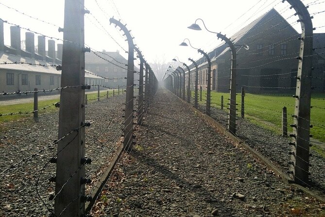 Auschwitz-Birkenau Guided Tour with Private Transport from Kraków - What the professional museum guide adds