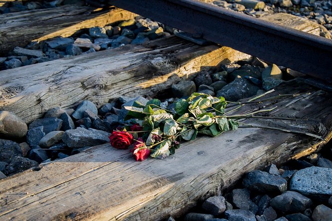 Auschwitz Birkenau Guided Tour with Ticket Hotel Pickup Small Van - Reserved admission versus a transport-only trip
