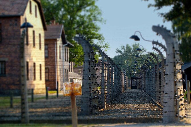 Auschwitz & Birkenau Live Guide Tour Entrance Ticket - Key points at a glance