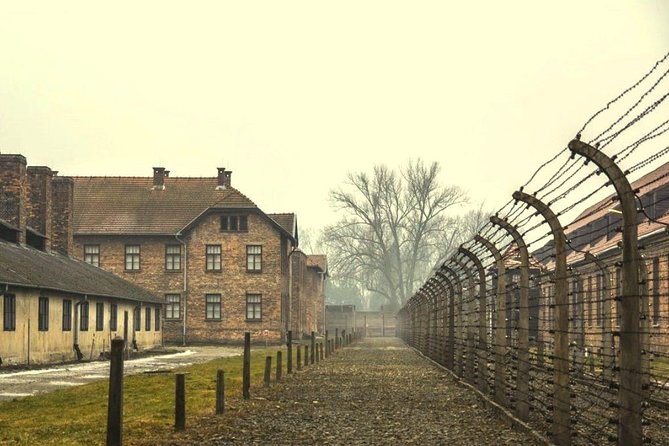 Auschwitz Birkenau Memorial and Museum group tour from Krakow - The rules you need to know before departure