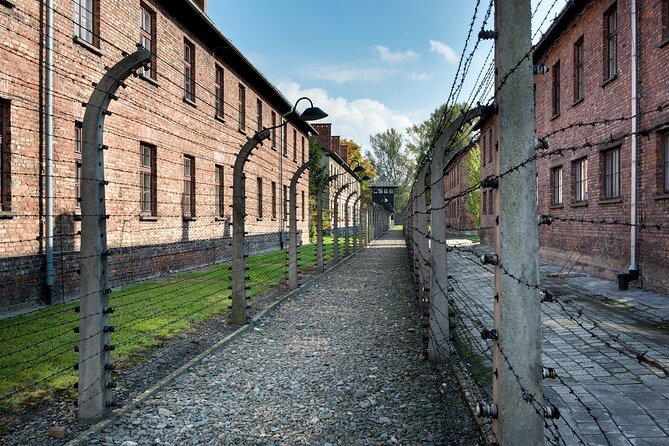 Auschwitz-Birkenau Memorial and Museum Guided Tour from Krakow - Who will get the most from this tour