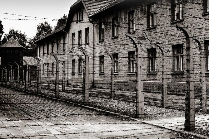 Auschwitz-Birkenau Memorial Entrance Ticket and Guided Tour - A guide makes the difference