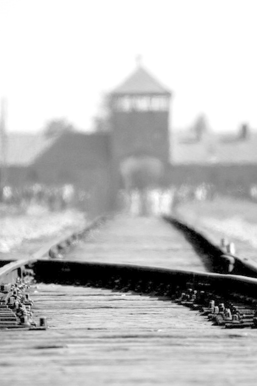 Auschwitz-Birkenau: Memorial Entry Ticket and Guided Tour - Walking through Auschwitz I
