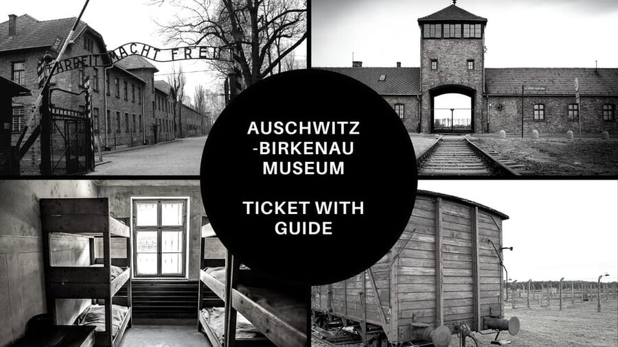 Auschwitz-Birkenau: Memorial Entry Ticket and Guided Tour - Birkenau railway and gas chamber ruins