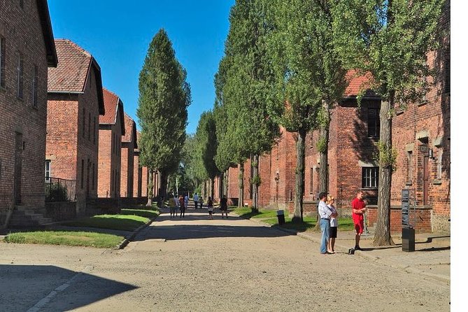 Auschwitz-Birkenau Museum and Memorial Guided Tour from Krakow - Birkenau: scale, silence, and the railway tracks