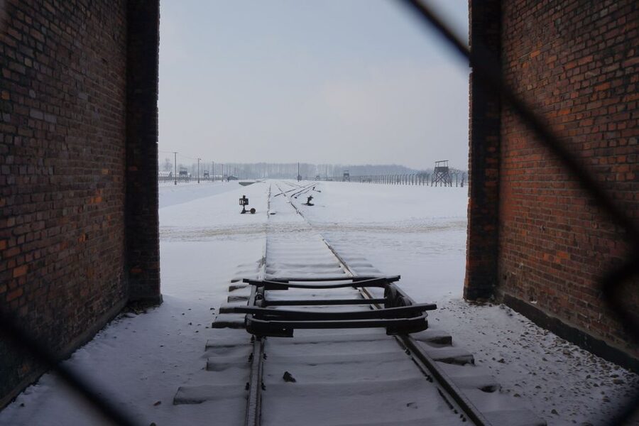 Auschwitz-Birkenau: Museum Entry Ticket with Guided Tour - The emotional pace and the role of the guide