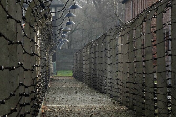 Auschwitz-Birkenau Private Tour from Krakow - Why this Auschwitz day trip carries weight