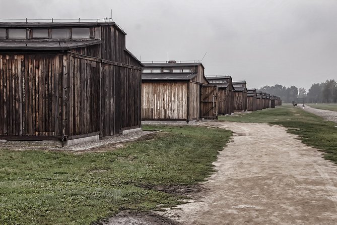 Auschwitz-Birkenau Private Tour from Krakow - Who will get the most from this tour?