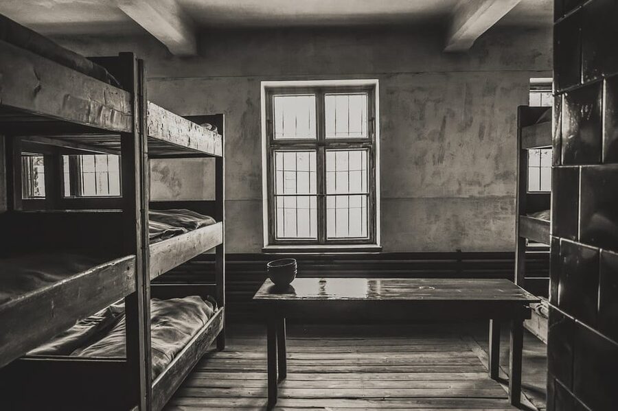 Auschwitz-Birkenau & Salt Mine Tour in One Day from Krakow - Key points to know before booking