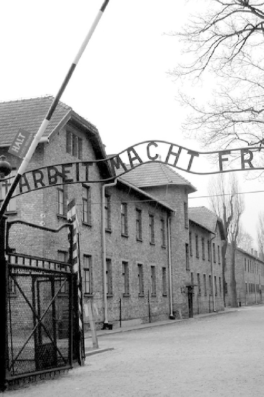 Auschwitz-Birkenau & Salt Mine Tour in One Day from Krakow - Should you book this one-day tour?