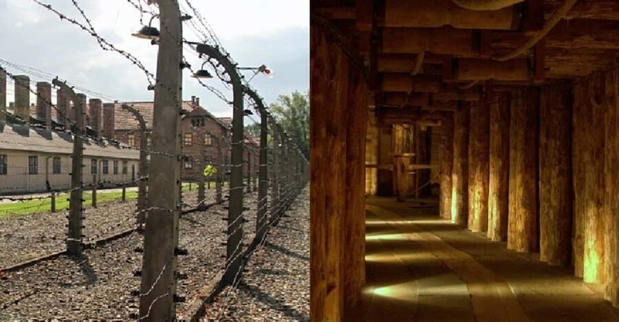 Auschwitz-Birkenau & Salt Mine Tour in One Day from Krakow - Is $164 good value?