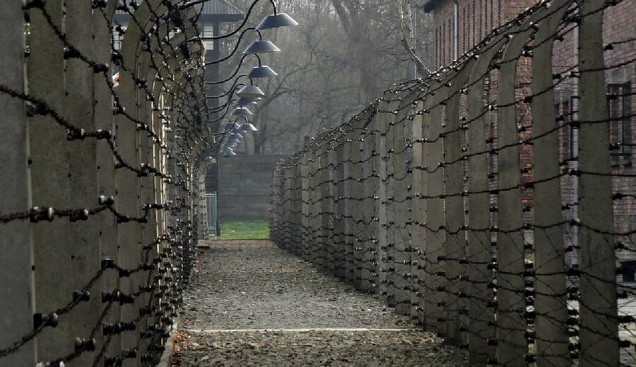 Auschwitz-Birkenau & Salt Mine Tour in One Day from Krakow - Auschwitz-Birkenau: a place for attention, not sightseeing