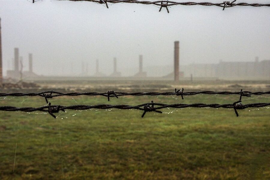 Auschwitz-Birkenau: Skip-the-Line Entry Ticket & Guided Tour - Key points to know before booking