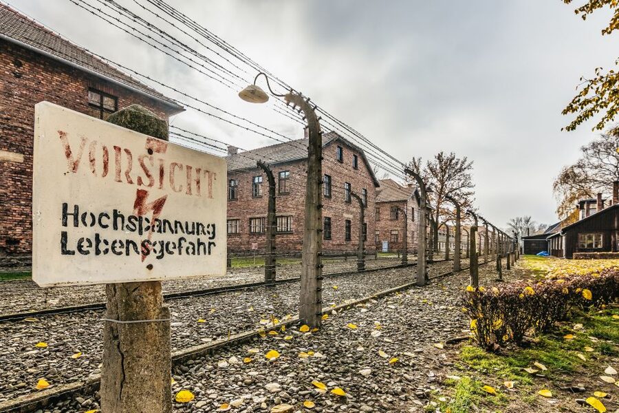 Auschwitz-Birkenau: Skip-the-Line Entry Ticket & Guided Tour - Why this Auschwitz visit matters