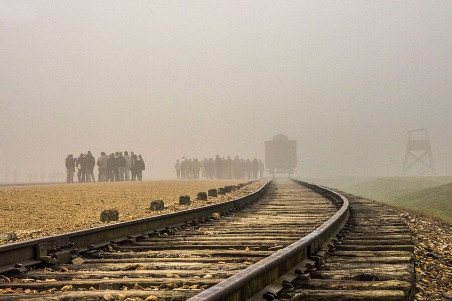 Auschwitz-Birkenau: Skip-the-Line Entry Ticket & Guided Tour - The break and transfer to Birkenau