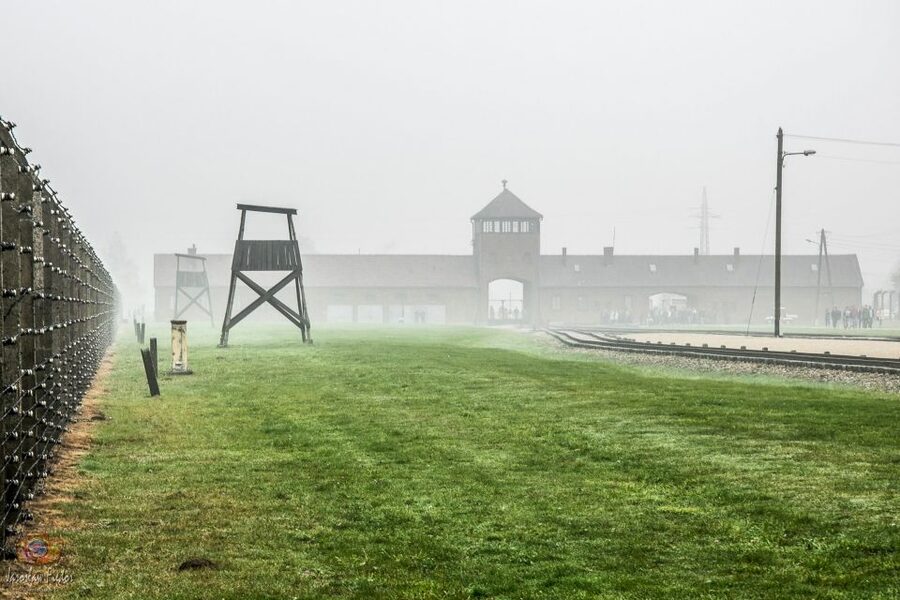 Auschwitz-Birkenau: Skip-the-Line Entry Ticket & Guided Tour - Birkenau: scale, railway, and ruins