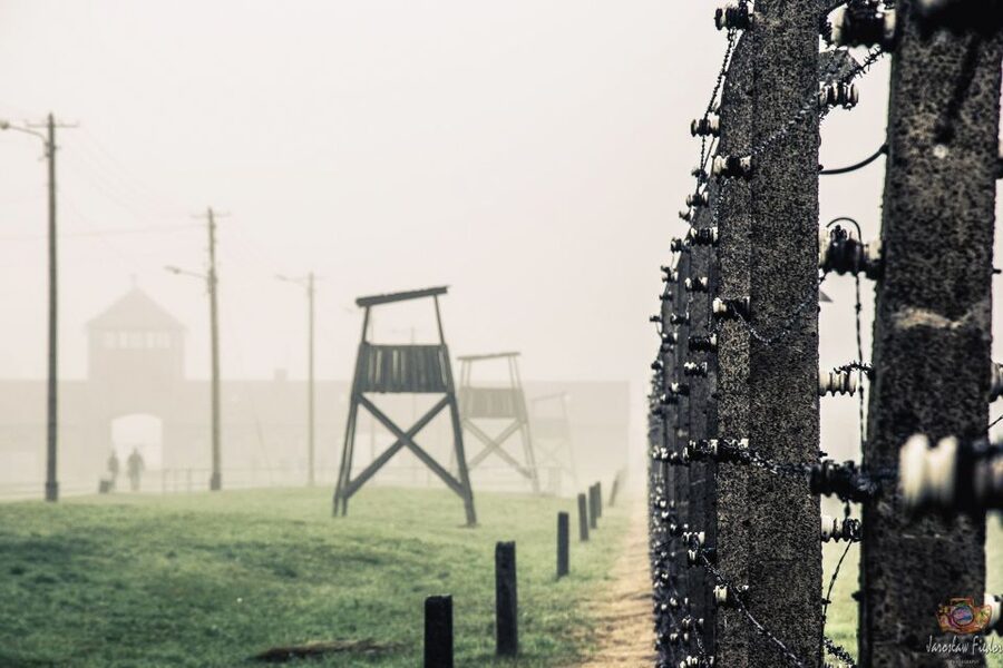 Auschwitz-Birkenau: Skip-the-Line Entry Ticket & Guided Tour - The guides and audio system