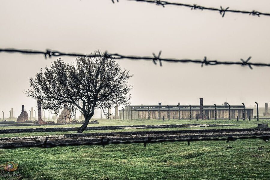 Auschwitz-Birkenau: Skip-the-Line Entry Ticket & Guided Tour - Entering Auschwitz I through the main gate