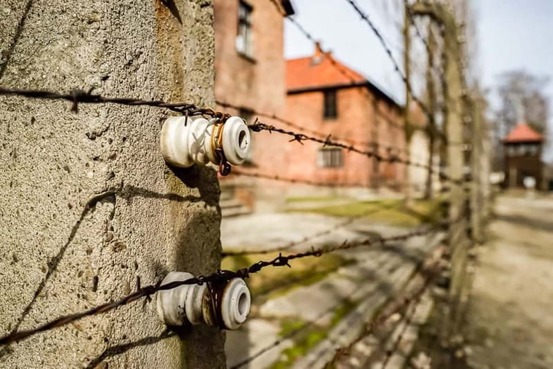 Auschwitz-Birkenau Skip-the-Line Guided Tour - Who should choose this tour?