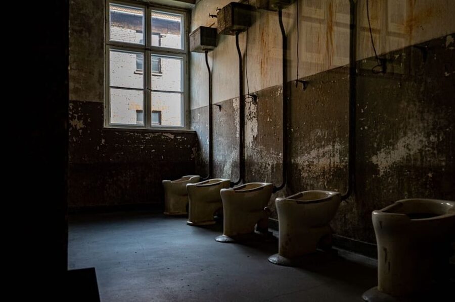Auschwitz-Birkenau: Skip-the-Line Ticket and Guided Tour - Moving to Birkenau for the second hour