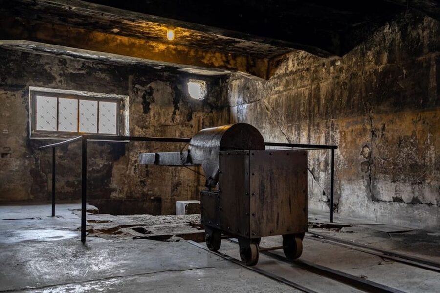 Auschwitz-Birkenau: Skip-the-Line Ticket and Guided Tour - Practical advice before you leave Krakow