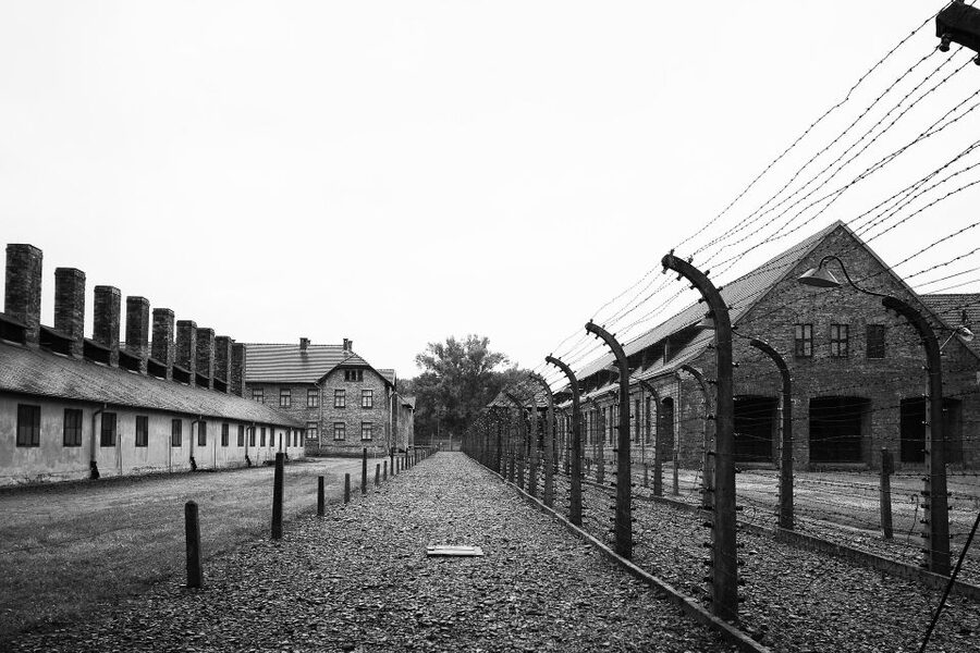 Auschwitz-Birkenau Tour from Katowice with Private Transfers - Who Will Get the Most From This Tour